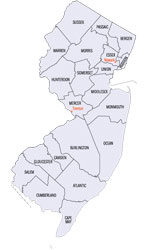 New Jersey Area Codes